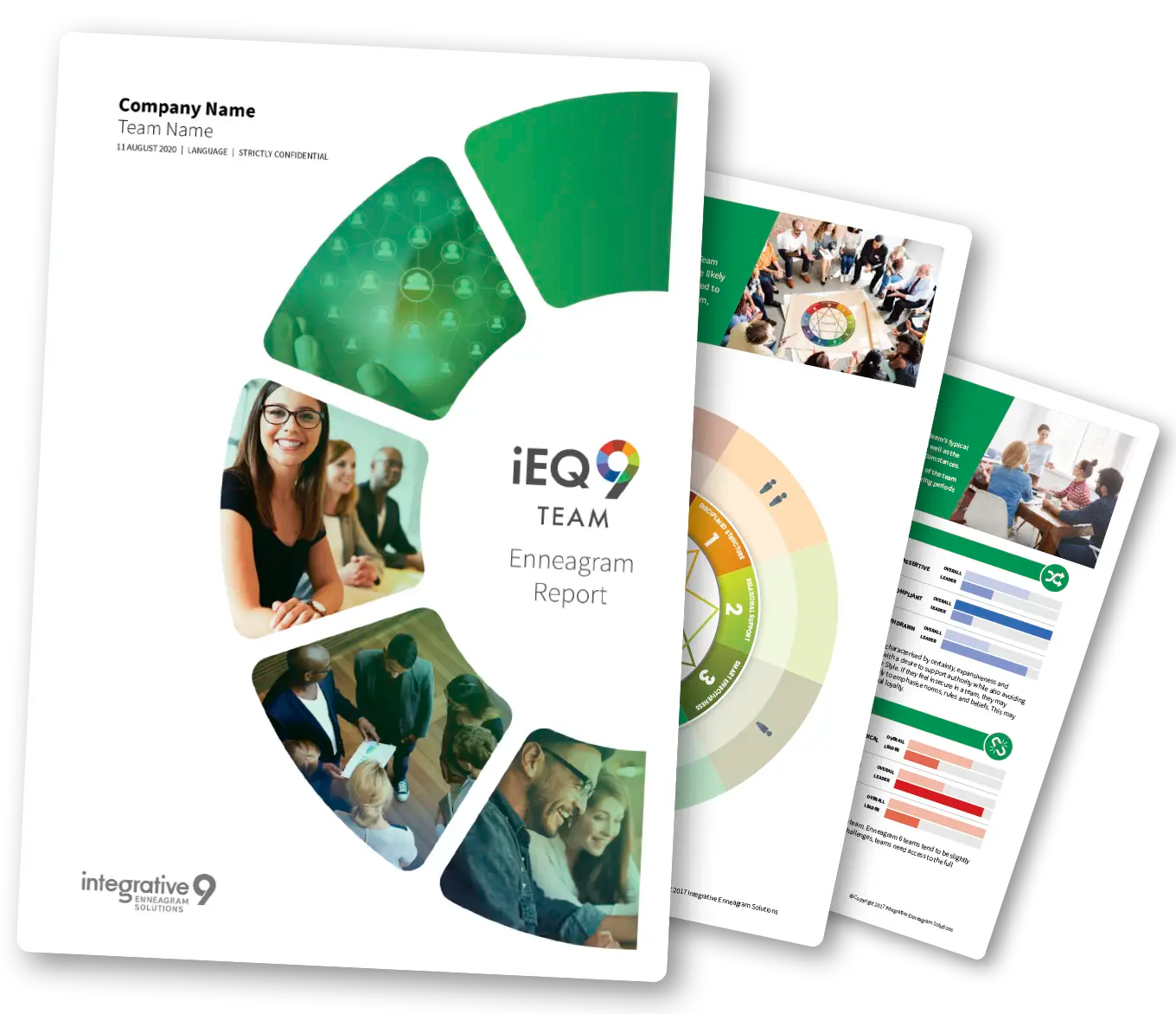 iEQ9 Enneagram Report: Teams